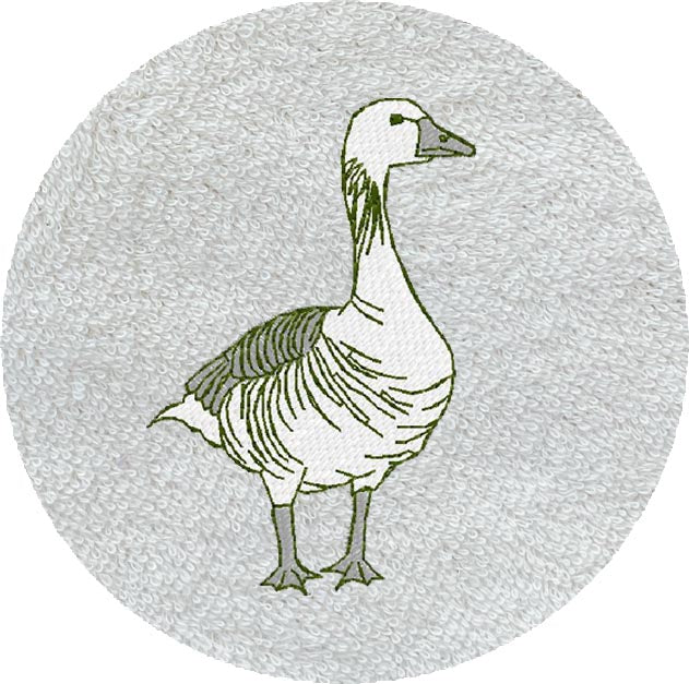 LIN 1 OIE -B530-