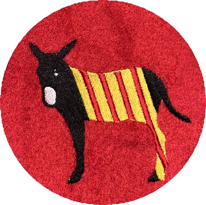 . ANE CATALAN -101-