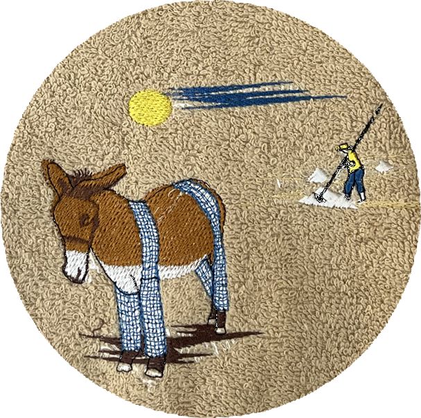 . ANE CULOTTE -012-