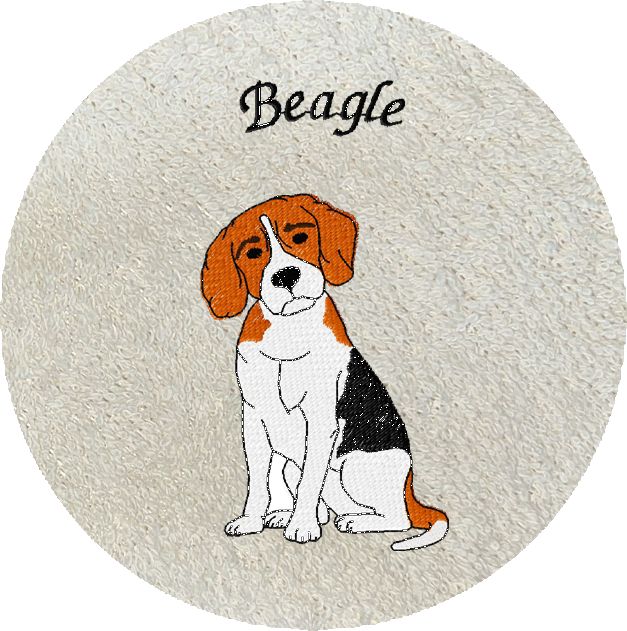 BEAGLE -137-