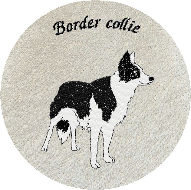 BORDER COLLIE -141-
