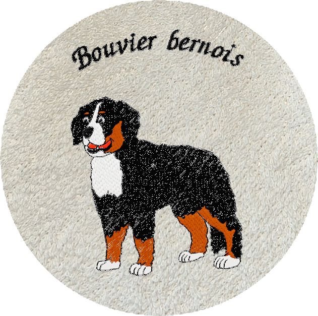 BOUVIER BERNOIS -373-