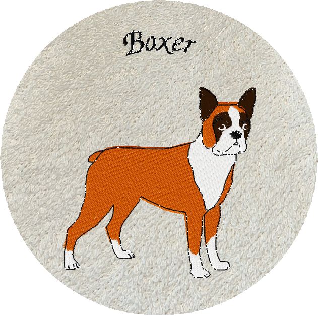 BOXER -374-