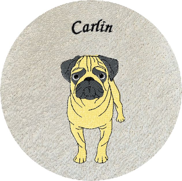 CARLIN -376-