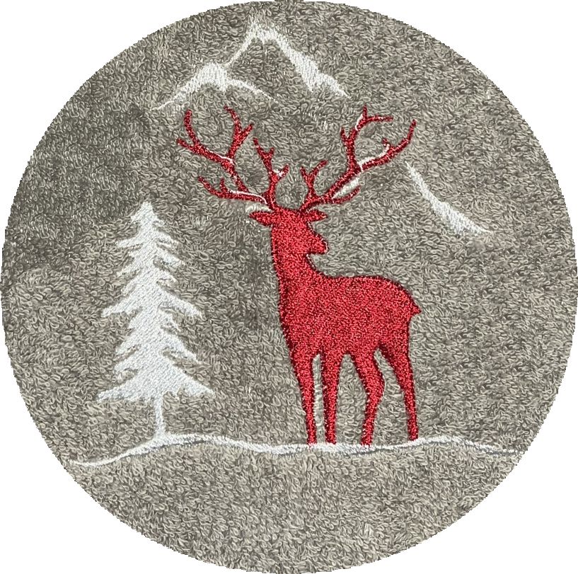 . CERF HIVER -021-
