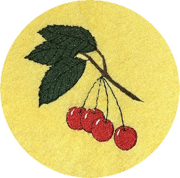 . CERISE -022-