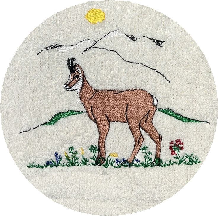 . CHAMOIS -127-