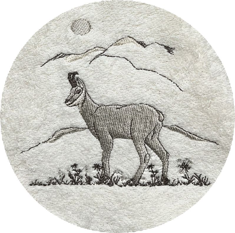 LIN CHAMOIS -B333-