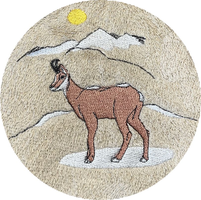 . CHAMOIS NEIGE -193-