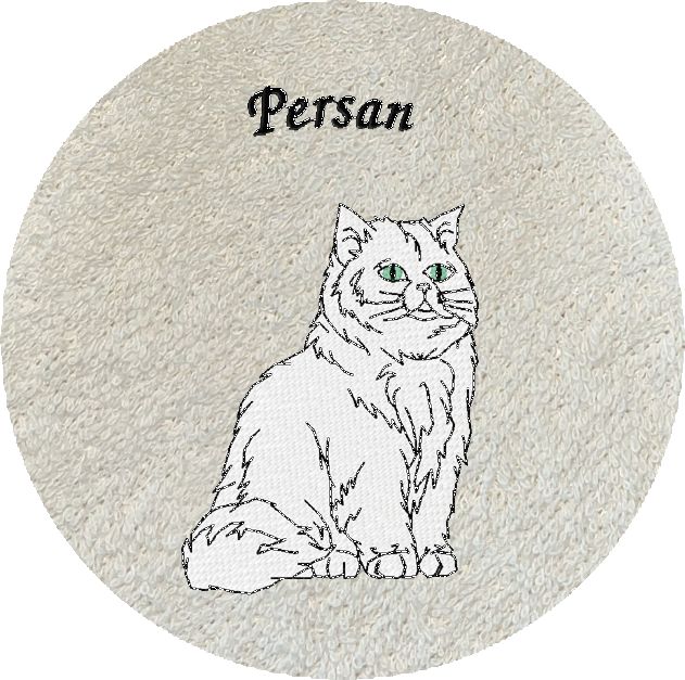 CHAT PERSAN -128-