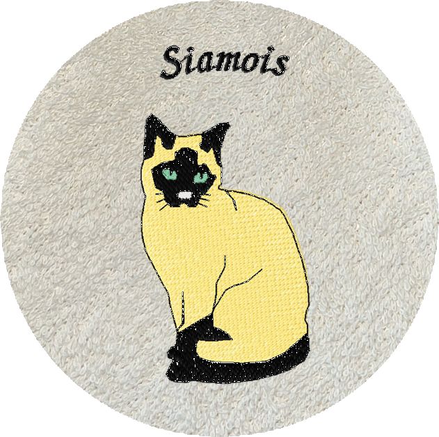 CHAT SIAMOIS -129-