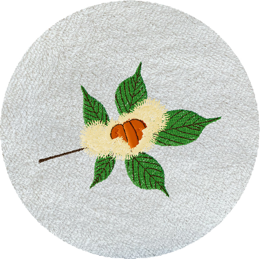 . CHATAIGNE -1029-