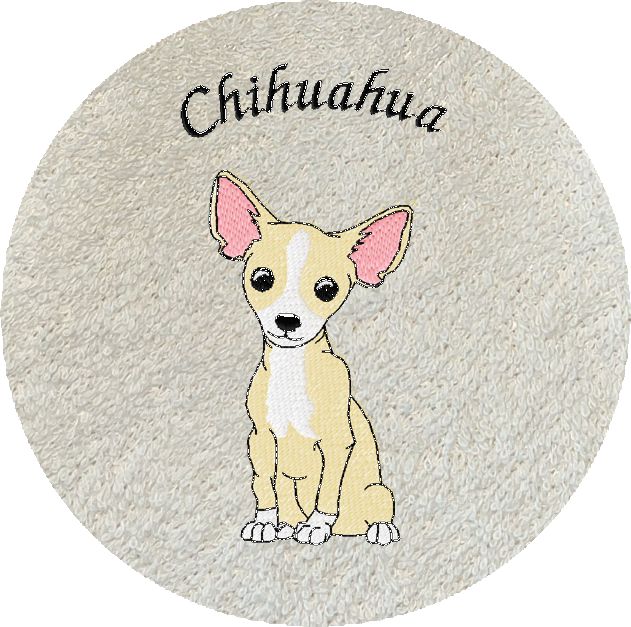 CHIHUAHUA -145-