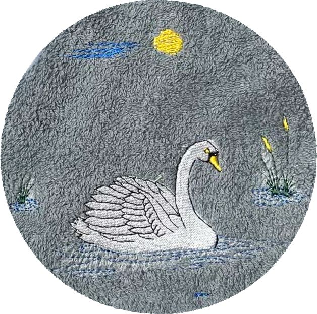 . CYGNE -031-