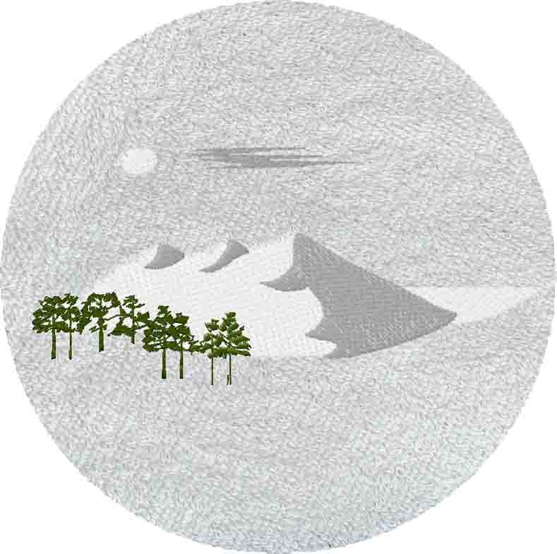 LIN DUNE DU PILAT -B770-