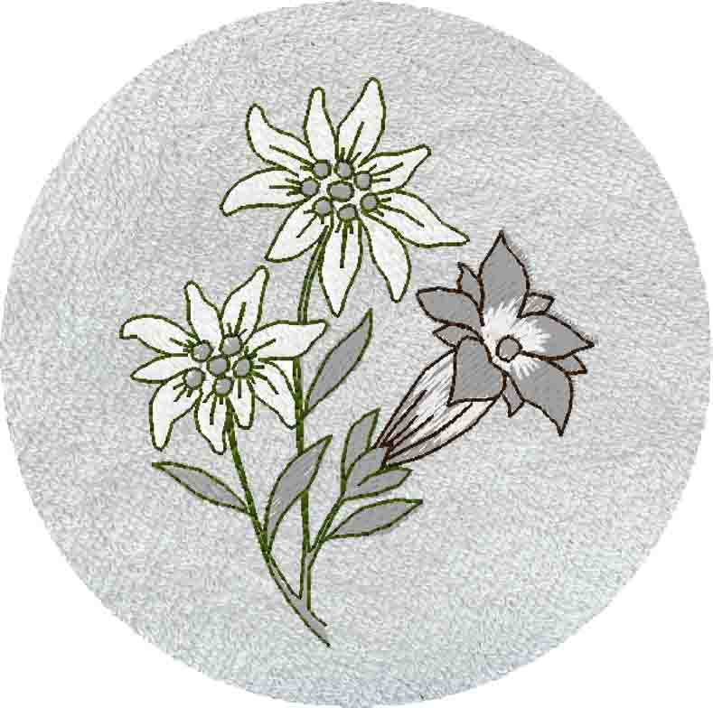 LIN EDELWEISS -B704-