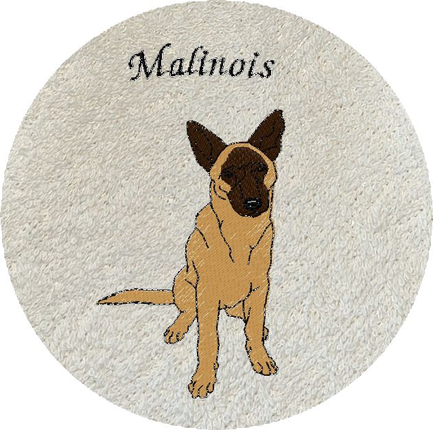 MALINOIS -383-