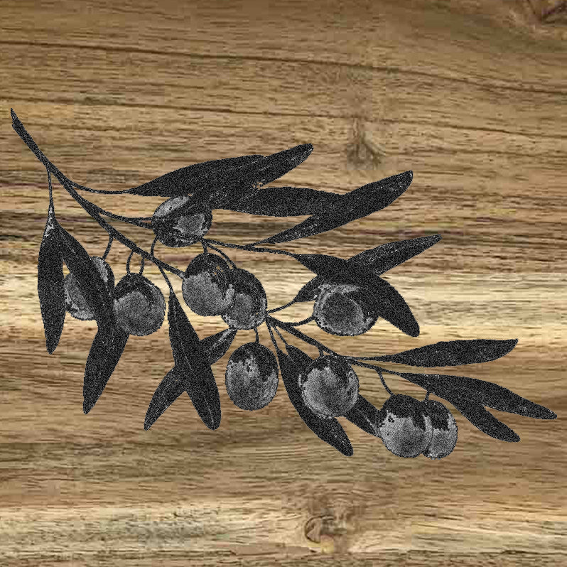 OLIVE -CB39-