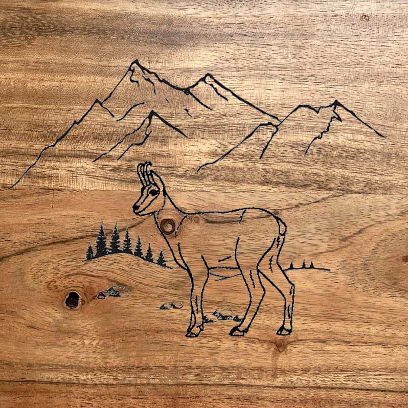 CHAMOIS -CB16-
