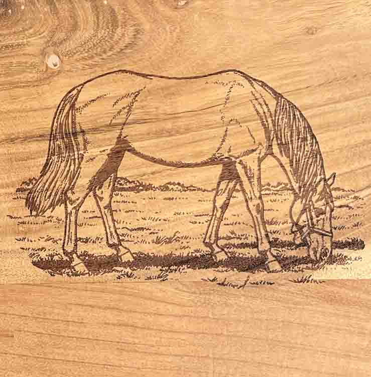 CHEVAL -CB25-
