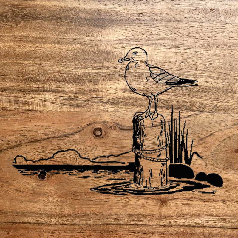 MOUETTE -CB05-