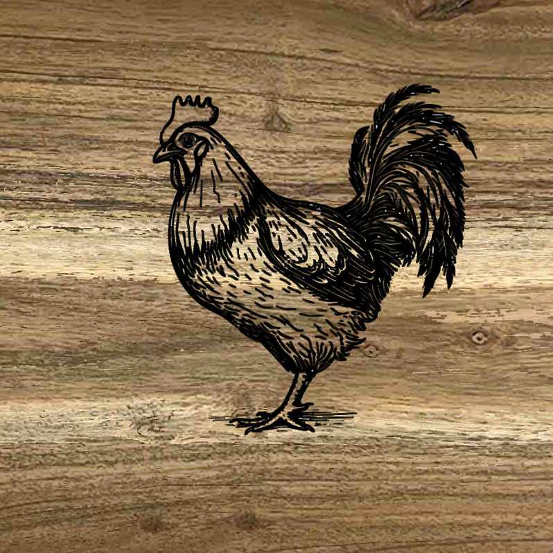 POULE -CB44-