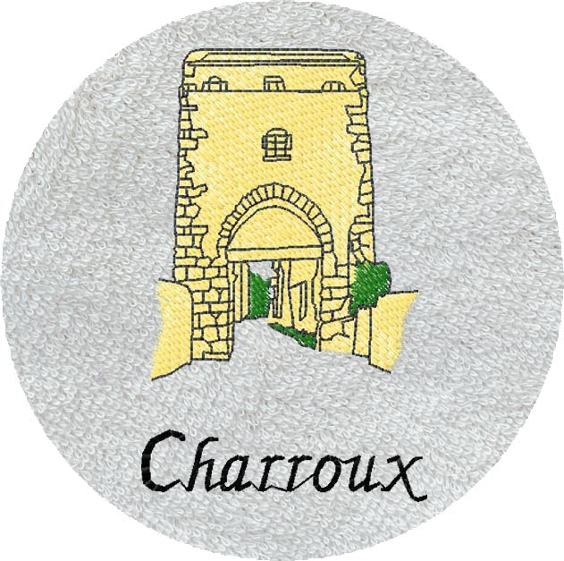. PORTE CHARROUX -476-