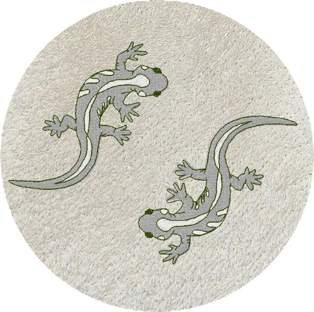 LIN SALAMANDRE -B361-