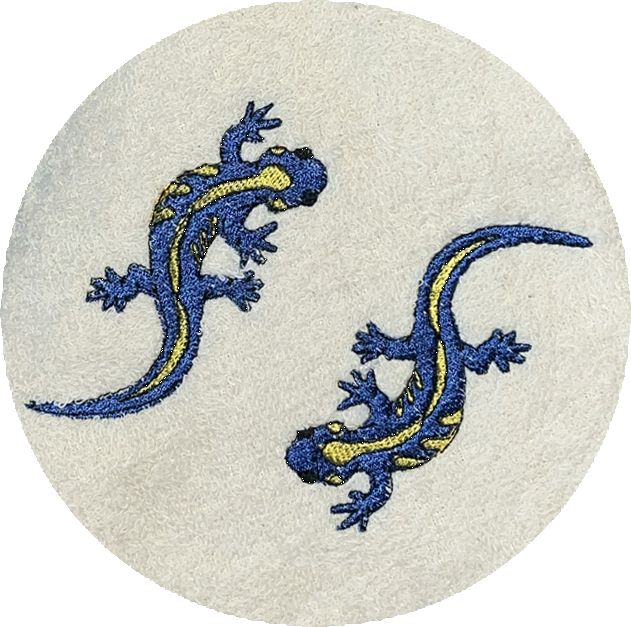 . SALAMANDRE BLEU -297-