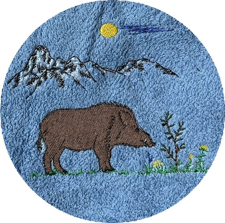 . SANGLIER MONTAGNE -070-