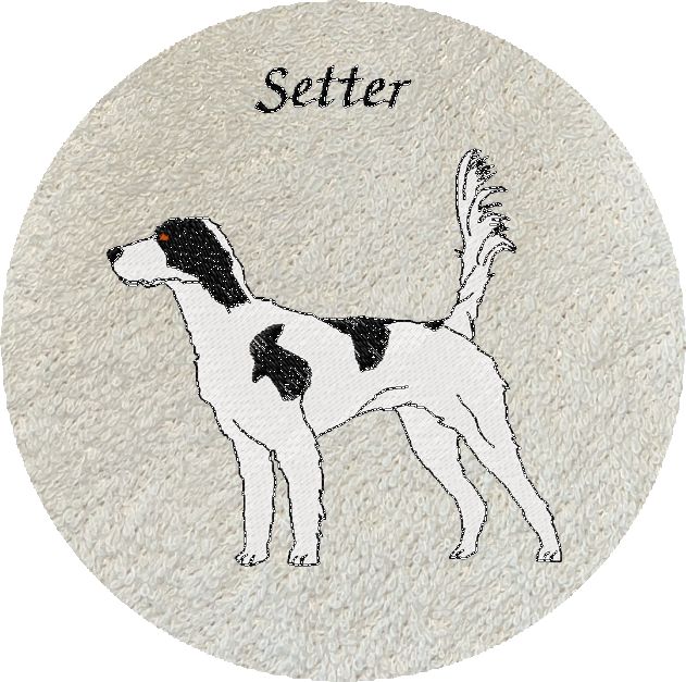 SETTER -151-