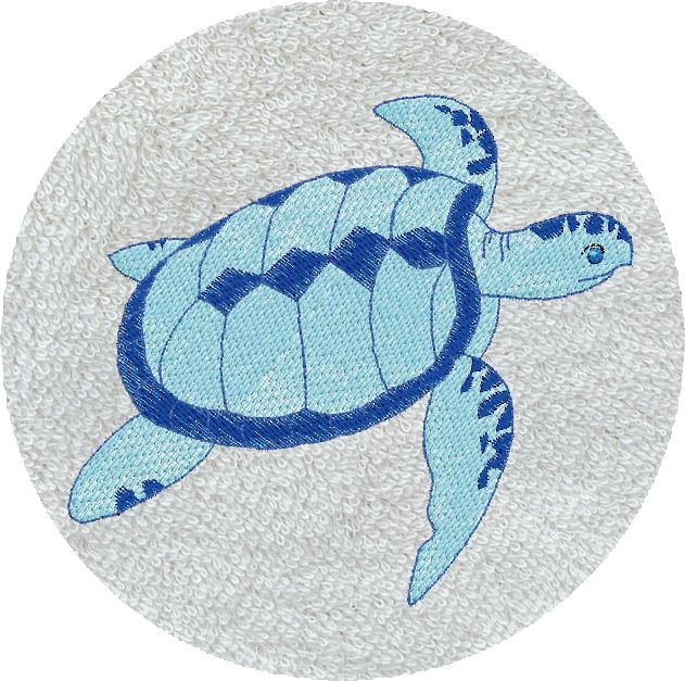 . TORTUE -313-